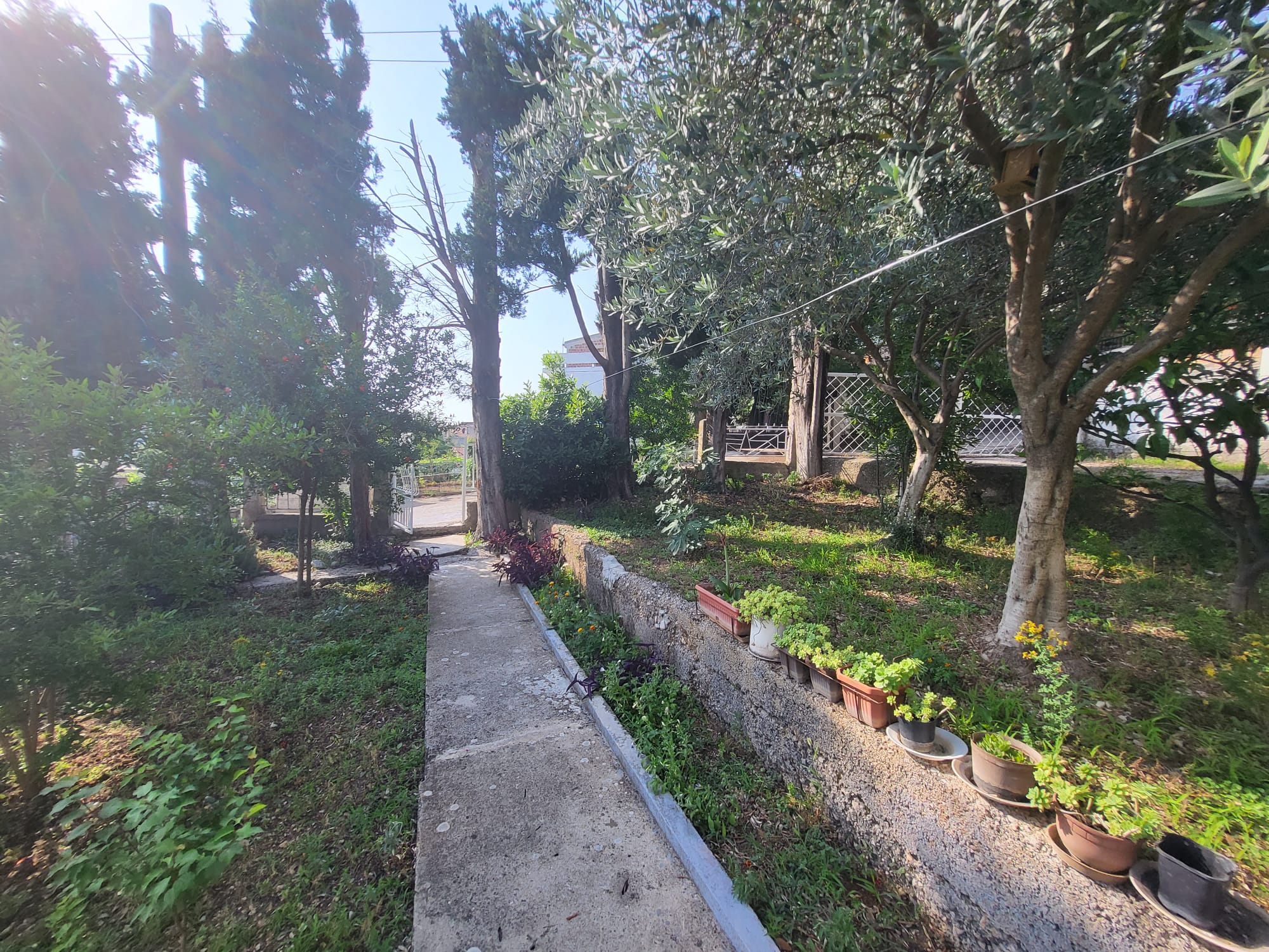 Image of House - 5 Bedrooms - 2 Bathrooms for Sale in Bar-Sutomore-Montenegro, Image 13
